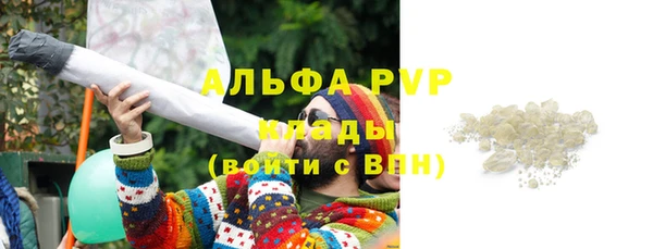 стафф Алзамай
