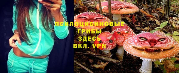 стафф Алзамай