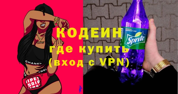 гашик Алексин
