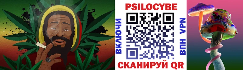 Псилоцибиновые грибы Cubensis  Палласовка 